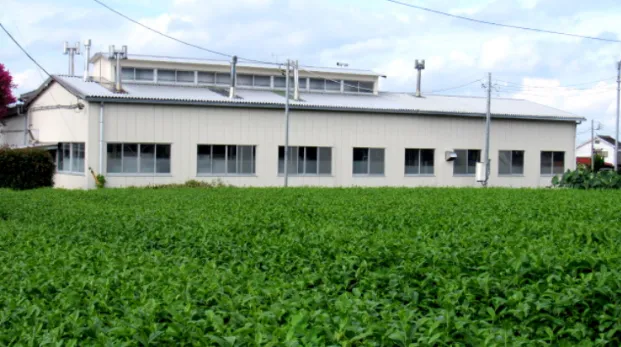 写真：茶畑と加工工場